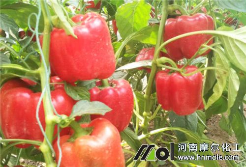 �����Y(ji��)���r(sh��)��