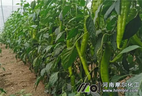 ��������ˮ�ܷ��x��