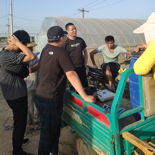 ��ݮ�Nֲ����ԃ�÷ʬF(xi��n)��1