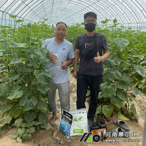 Ħ���S��ԇ���3