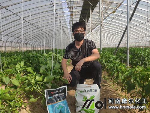 �Nֲ�����������L��(sh��)