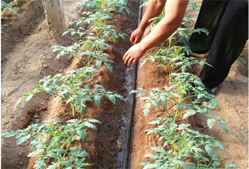 ���t��ˮ�ܷ�ʹ�÷�ʽ