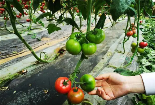 ����ʩ�ʕr�g