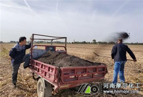 �@�B�����c��ľ�Ҳ��ܻ���