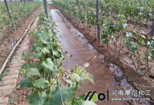 �����÷�