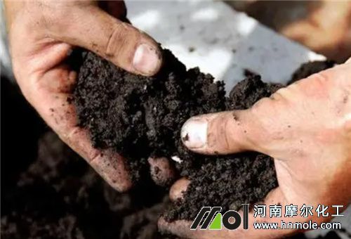 ˮ�ܷʌ�(du��)����Ӱ�