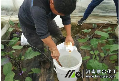 �����÷�