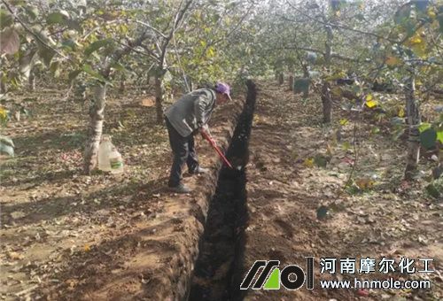 �͜حh(hu��n)��ʩ��