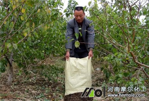 �͜حh(hu��n)��ʩ��