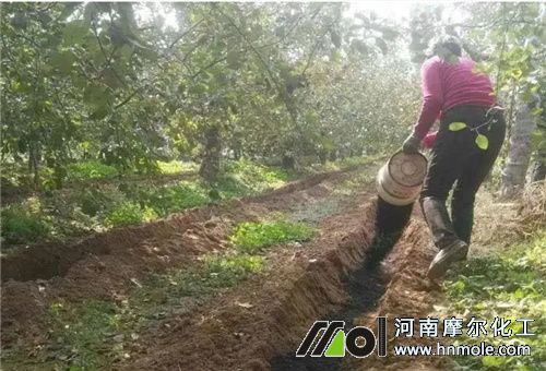 �͜حh(hu��n)��ʩ��