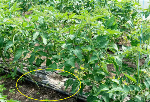 ����ι�ʩ��