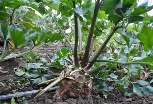 �~����ι�ʩ��