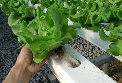 �~��ʩ�ʷ�ʽ