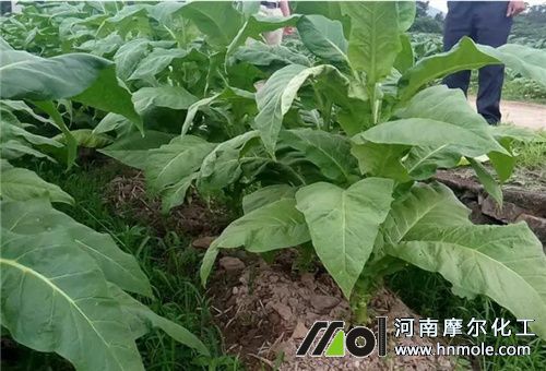 ���~һ�����ЙC����