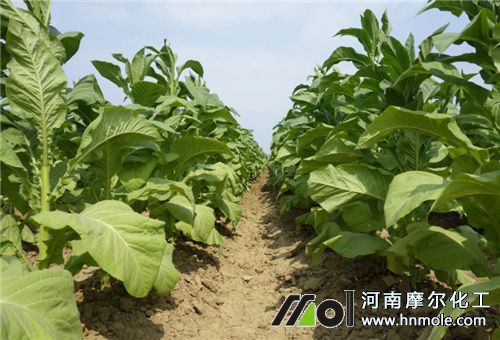 ���~һ�����ЙC����