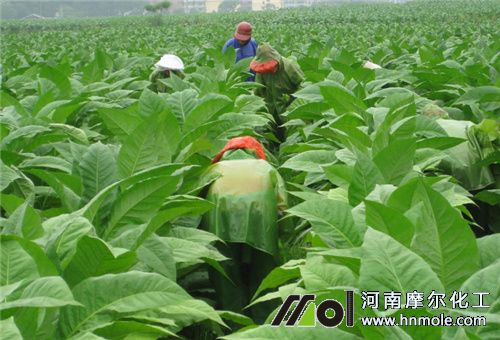 ���~�Nֲ׷��