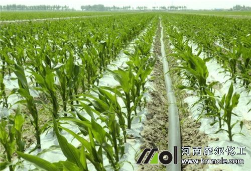 һ�����÷�