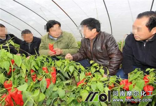 �r�������gָ��