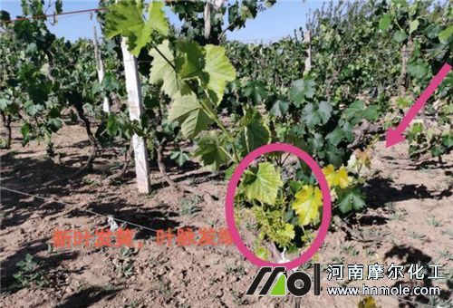 �����~�Ӱl�Sԭ��