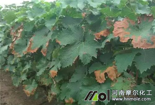 ����ȱ���~�Ӱl�S