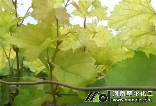 ����ˎ���~�Ӱl�S