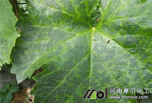 ���ѷʺ��~�Ӱl�S