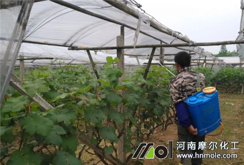 �����~�Ӱl�S����