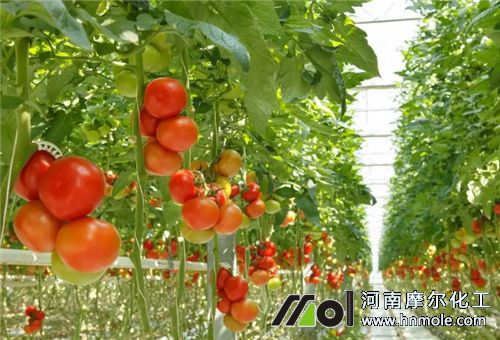 ����ˮ�ܷ��x��