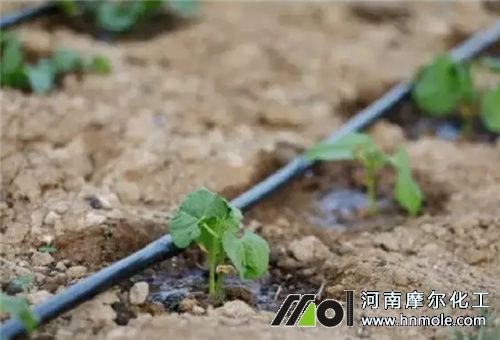 ����ʩ����