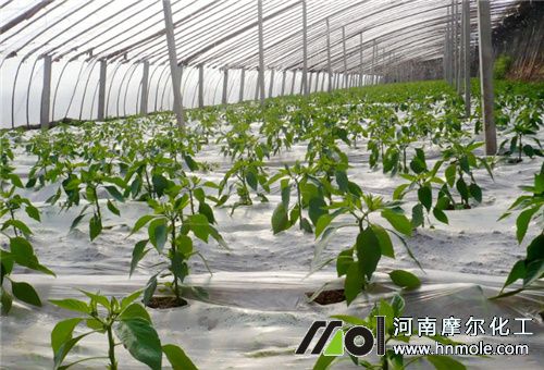 溫室作物施肥 溫室作物施肥