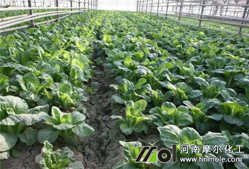 �߲˲����lʩˮ�ܷ�ԭ��