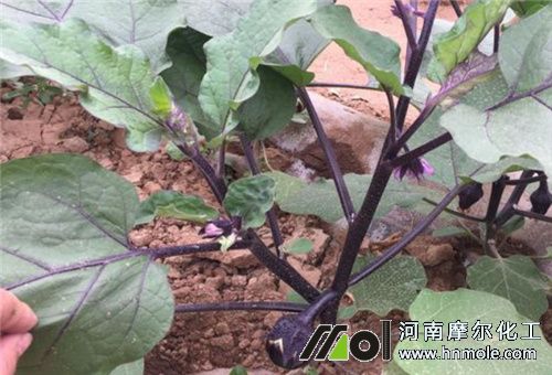 ���ӽY������r�g