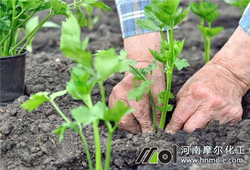 �۲�ʩˮ�ܷʷ���