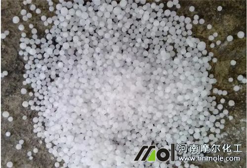 �����w��