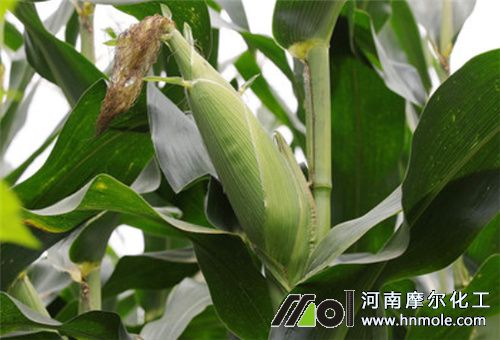 ����ˮ�ܷ���ô��