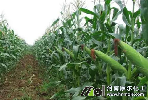 ����ˮ�ܷ���ô��