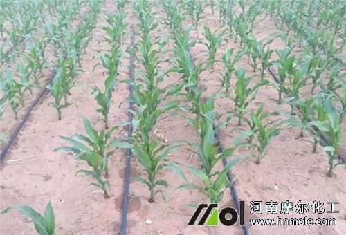 ˮ�ܷ��ڵ����Ч