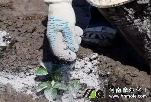 ��ľ���÷�