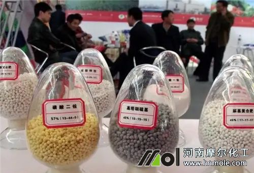 �����x��