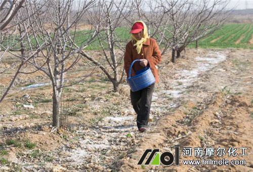 ������ʩ