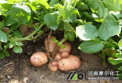 ����ʩ�׷�