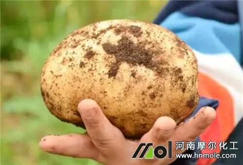 ���K�o�׷�Ҫ��