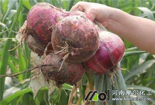 ���[ʩ�׷�