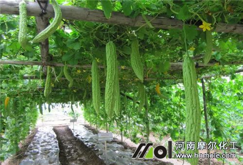 �N���ʩ��