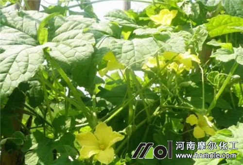 ������L��