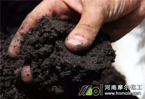 Ӱ푷�������1