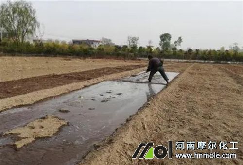 Ӱ푷�������2