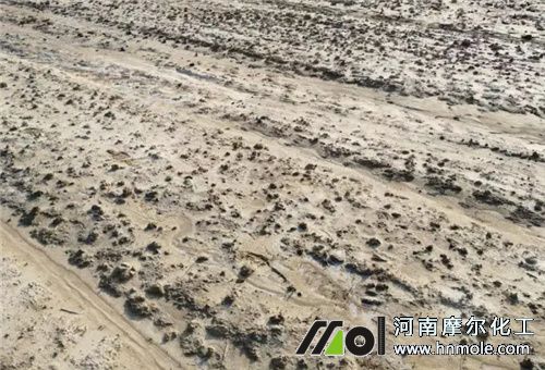 Ӱ푷�������3