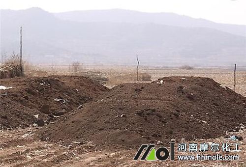 蔥粗壯施底肥 蔥粗壯施底肥