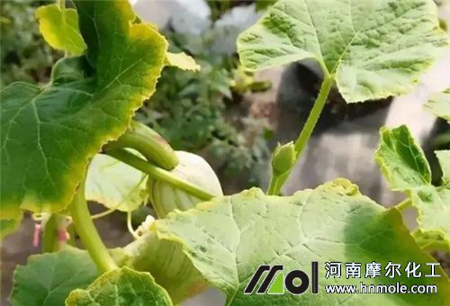 �S��ȱ��׃��